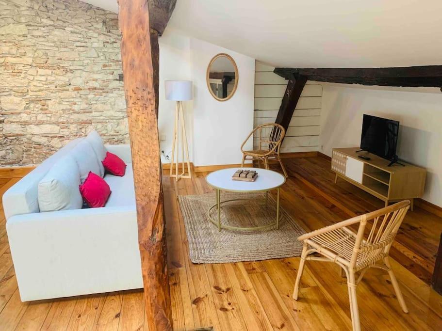 Spacieux Appartement En Plein Coeur De Castres Castres  Extérieur photo
