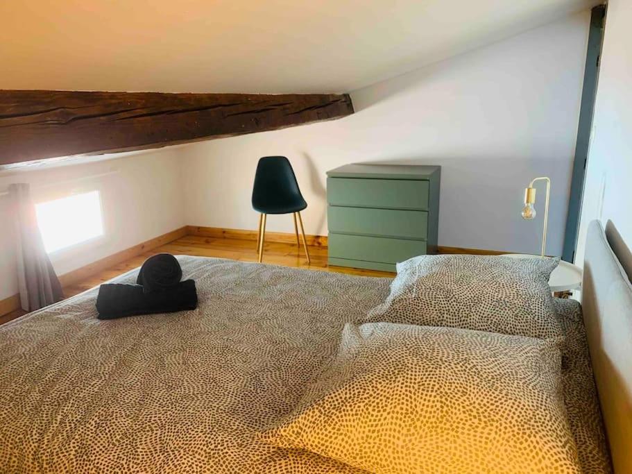 Spacieux Appartement En Plein Coeur De Castres Castres  Extérieur photo