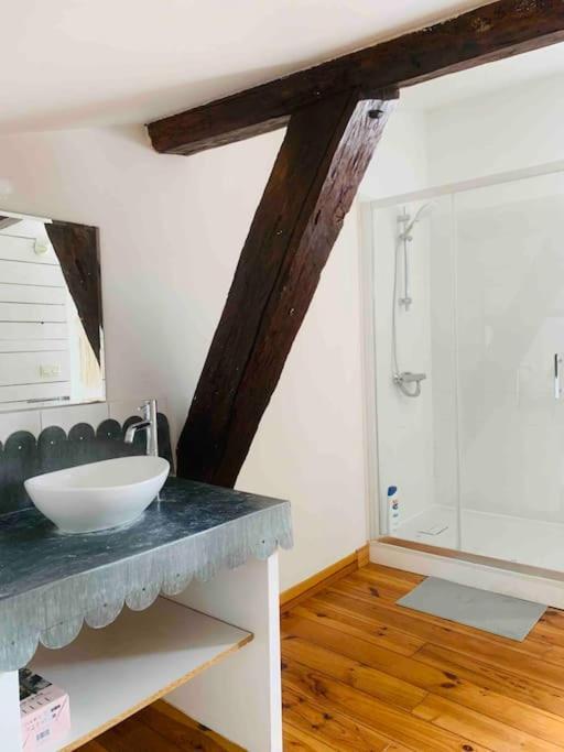 Spacieux Appartement En Plein Coeur De Castres Castres  Extérieur photo